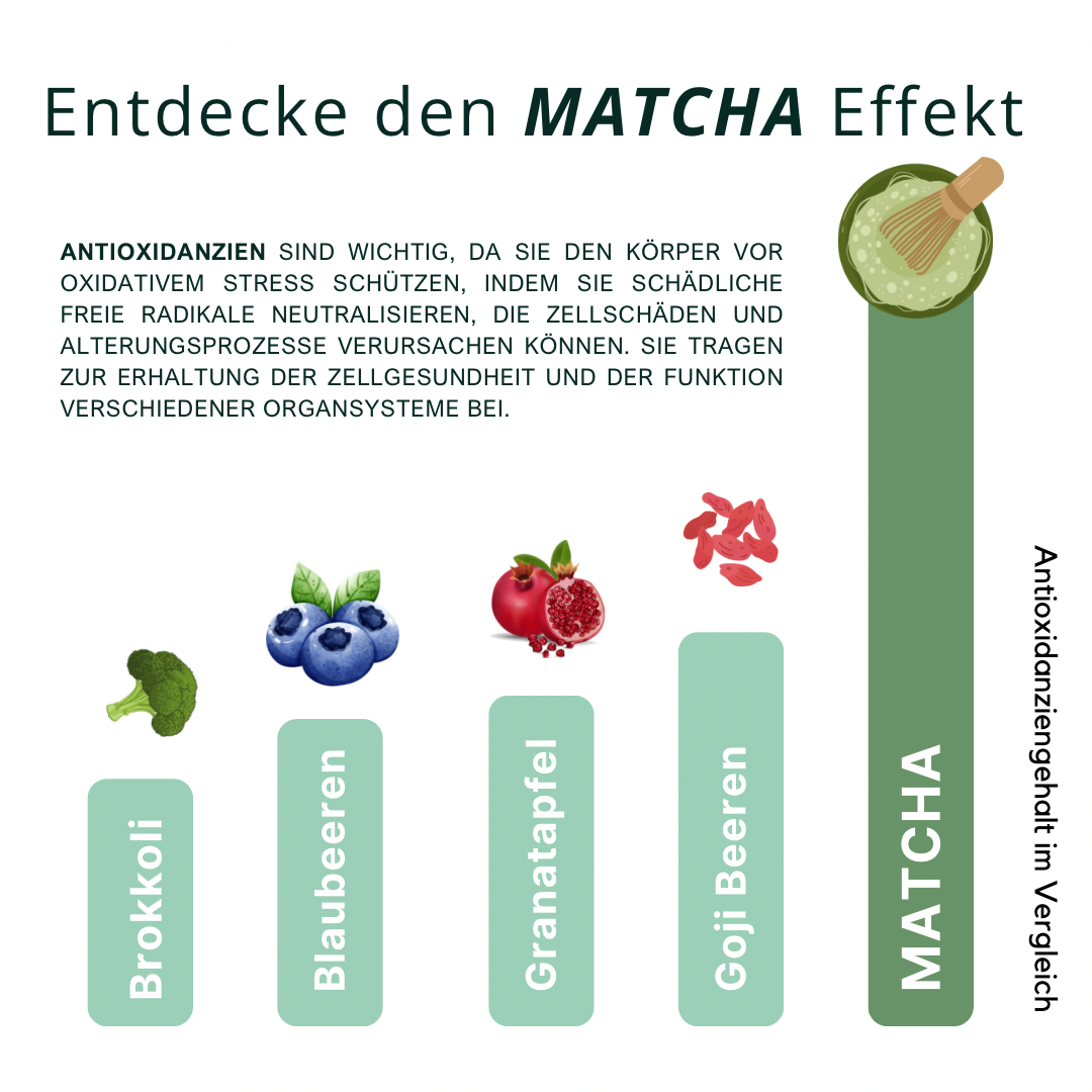 Matcha Starter Set mit japanischer Schale & Bio Matcha Premium (30 g) – Komplettset für Einsteiger