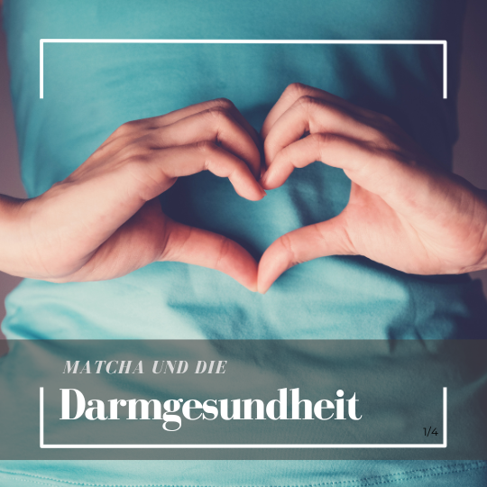 Matcha und die Darmgesundheit: Eine perfekte Kombination für dein Wohlbefinden